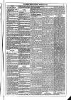 Dublin Weekly News Saturday 26 February 1876 Page 3