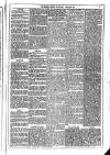 Dublin Weekly News Saturday 04 March 1876 Page 3