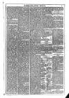 Dublin Weekly News Saturday 04 March 1876 Page 5