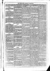 Dublin Weekly News Saturday 25 March 1876 Page 3