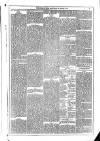 Dublin Weekly News Saturday 25 March 1876 Page 5