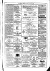 Dublin Weekly News Saturday 25 March 1876 Page 7