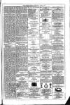 Dublin Weekly News Saturday 01 April 1876 Page 7