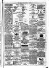 Dublin Weekly News Saturday 03 June 1876 Page 6