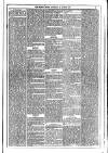 Dublin Weekly News Saturday 26 August 1876 Page 3