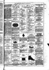 Dublin Weekly News Saturday 06 January 1877 Page 7