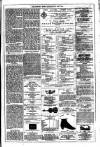 Dublin Weekly News Saturday 19 May 1877 Page 7