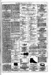 Dublin Weekly News Saturday 02 June 1877 Page 7