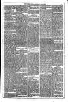 Dublin Weekly News Saturday 07 July 1877 Page 3