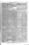 Dublin Weekly News Saturday 04 August 1877 Page 3