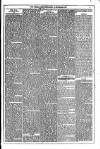 Dublin Weekly News Saturday 15 September 1877 Page 3