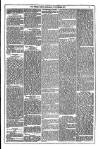 Dublin Weekly News Saturday 03 November 1877 Page 3