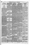 Dublin Weekly News Saturday 03 November 1877 Page 5