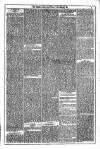 Dublin Weekly News Saturday 17 November 1877 Page 3