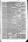 Dublin Weekly News Saturday 05 January 1878 Page 5