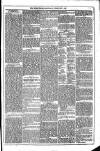 Dublin Weekly News Saturday 02 February 1878 Page 5