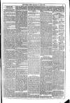 Dublin Weekly News Saturday 08 June 1878 Page 3