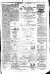 Dublin Weekly News Saturday 08 June 1878 Page 7