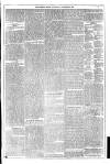 Dublin Weekly News Saturday 07 December 1878 Page 3