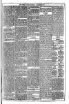 Dublin Weekly News Saturday 21 December 1878 Page 3