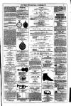 Dublin Weekly News Saturday 21 December 1878 Page 7