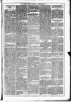 Dublin Weekly News Saturday 11 January 1879 Page 5