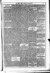 Dublin Weekly News Saturday 18 January 1879 Page 5