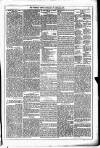 Dublin Weekly News Saturday 25 January 1879 Page 3