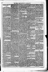Dublin Weekly News Saturday 25 January 1879 Page 5