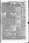 Dublin Weekly News Saturday 01 March 1879 Page 3