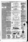 Dublin Weekly News Saturday 01 March 1879 Page 7