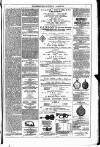 Dublin Weekly News Saturday 08 March 1879 Page 7