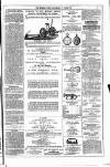 Dublin Weekly News Saturday 14 June 1879 Page 7