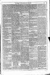 Dublin Weekly News Saturday 21 June 1879 Page 3