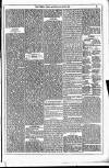 Dublin Weekly News Saturday 26 July 1879 Page 3