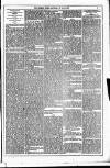 Dublin Weekly News Saturday 26 July 1879 Page 5