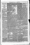 Dublin Weekly News Saturday 13 September 1879 Page 5