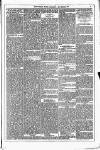 Dublin Weekly News Saturday 01 November 1879 Page 5