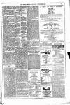 Dublin Weekly News Saturday 01 November 1879 Page 7