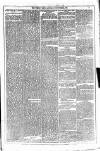 Dublin Weekly News Saturday 15 November 1879 Page 5
