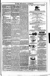 Dublin Weekly News Saturday 15 November 1879 Page 7