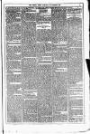 Dublin Weekly News Saturday 29 November 1879 Page 3