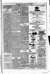 Dublin Weekly News Saturday 29 November 1879 Page 7