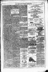 Dublin Weekly News Saturday 03 January 1880 Page 7