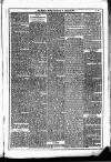 Dublin Weekly News Saturday 10 January 1880 Page 3