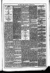 Dublin Weekly News Saturday 10 January 1880 Page 5