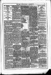 Dublin Weekly News Saturday 17 January 1880 Page 5