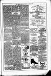 Dublin Weekly News Saturday 17 January 1880 Page 7