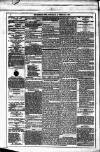 Dublin Weekly News Saturday 14 February 1880 Page 4