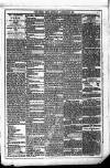 Dublin Weekly News Saturday 14 February 1880 Page 5